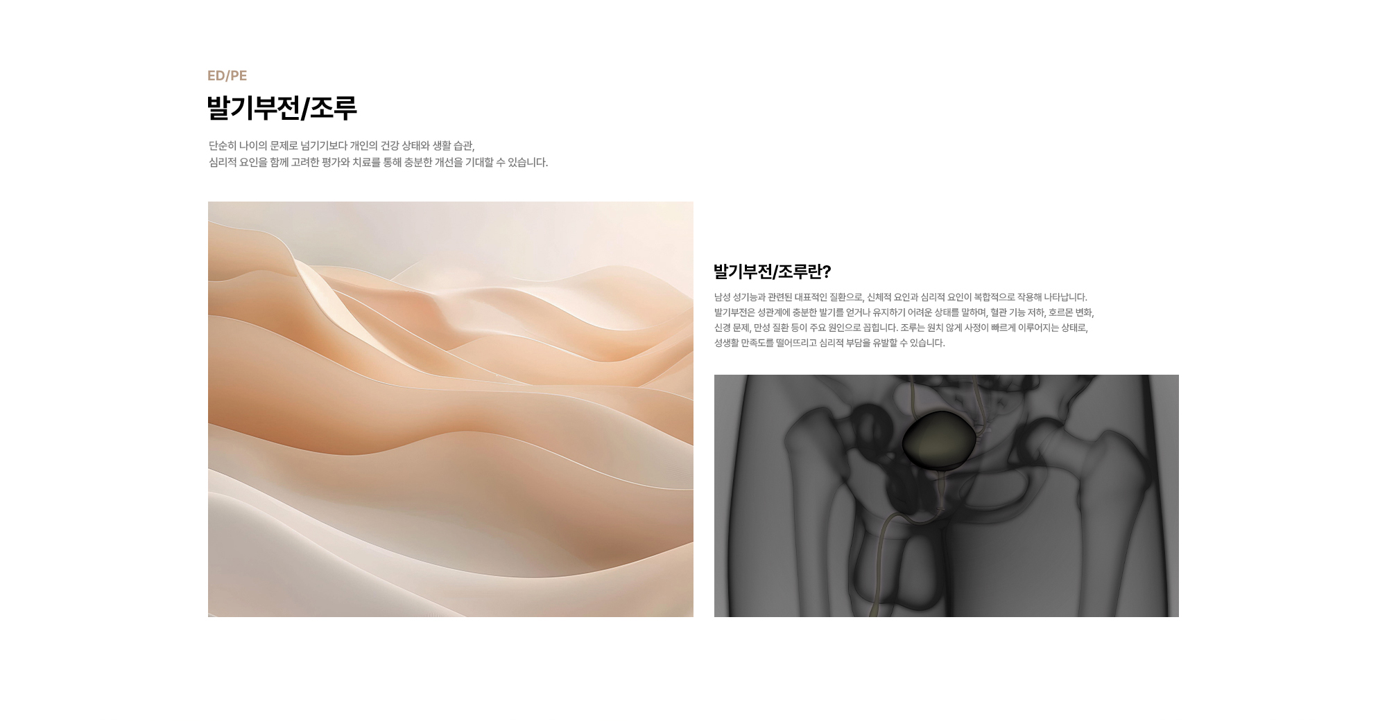 발기부전/조루 : 단순히 나이의 문제로 넘기기보다 개인의 건강 상태와 생활 습관, 심리적 요인을 함께 고려한 평가와 치료를 통해 충분한 개선을 기대할 수 있습니다. 발기부전/조루란? 남성 성기능과 관련된 대표적인 질환으로, 신체적 요인과 심리적 요인이 복합적으로 작용해 나타납니다. 발기부전은 성관계에 충분한 발기를 얻거나 유지하기 어려운 상태를 말하며, 혈관 기능 저하, 호르몬 변화, 신경 문제, 만성 질환 등이 주요 원인으로 꼽힙니다. 조루는 원치 않게 사정이 빠르게 이루어지는 상태로, 성생활 만족도를 떨어뜨리고 심리적 부담을 유발할 수 있습니다.