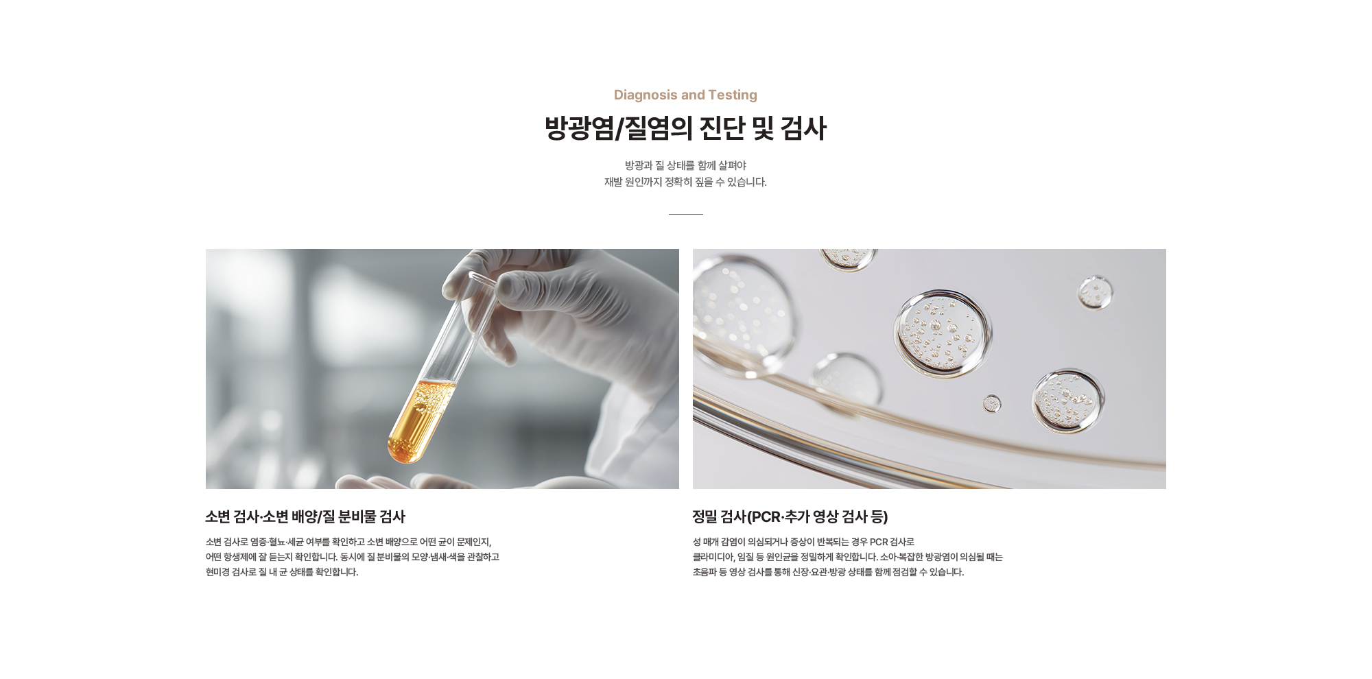 
        방광염/질염의 진단 및 검사 : 소변 검사·소변 배양/질 분비물 검사, 정밀 검사(PCR·추가 영상 검사 등)